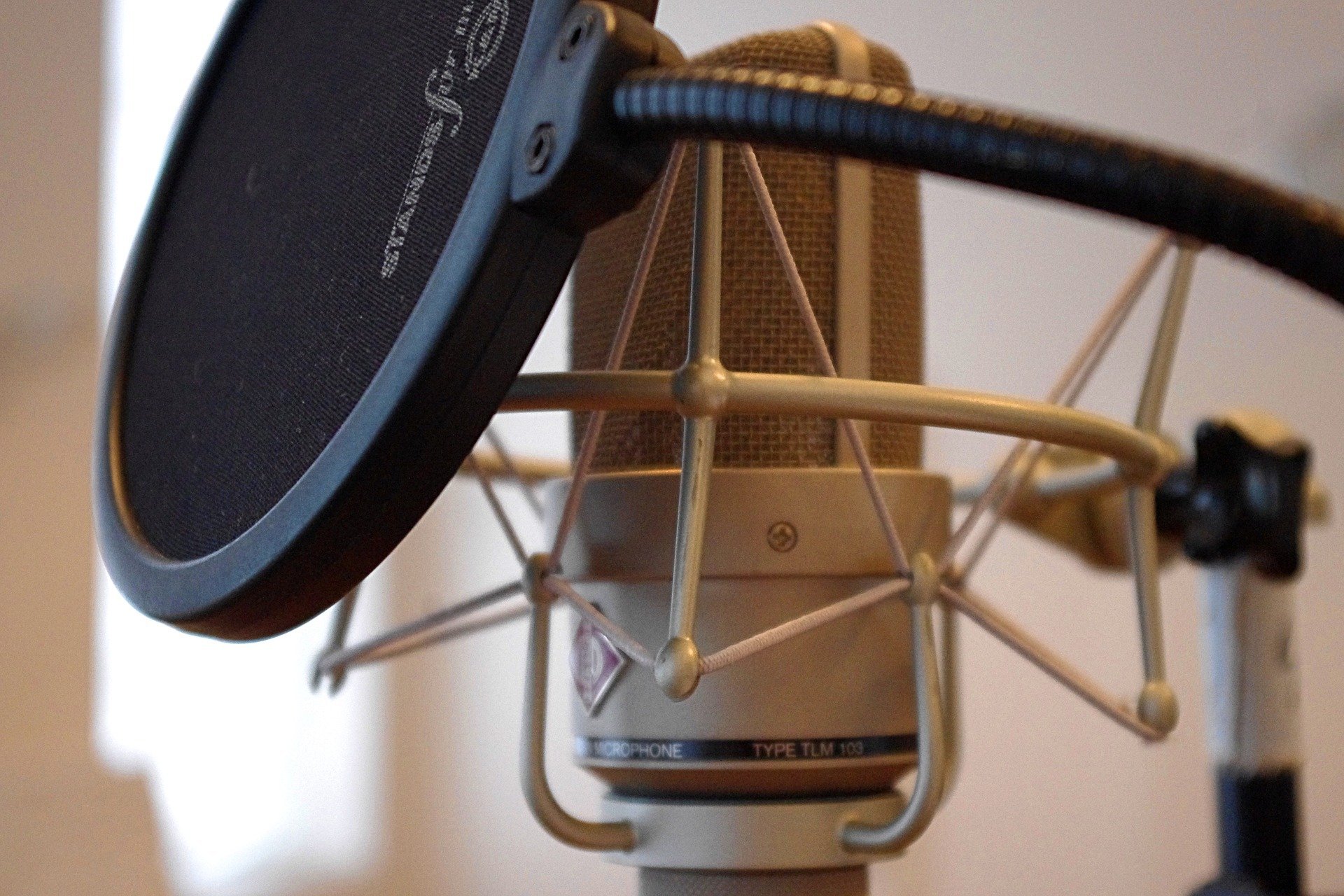 Microphone for voice acting with a pop filter