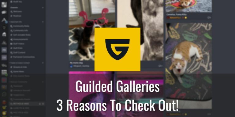 Guilded Gallery - 3 Reasons To Check It Out